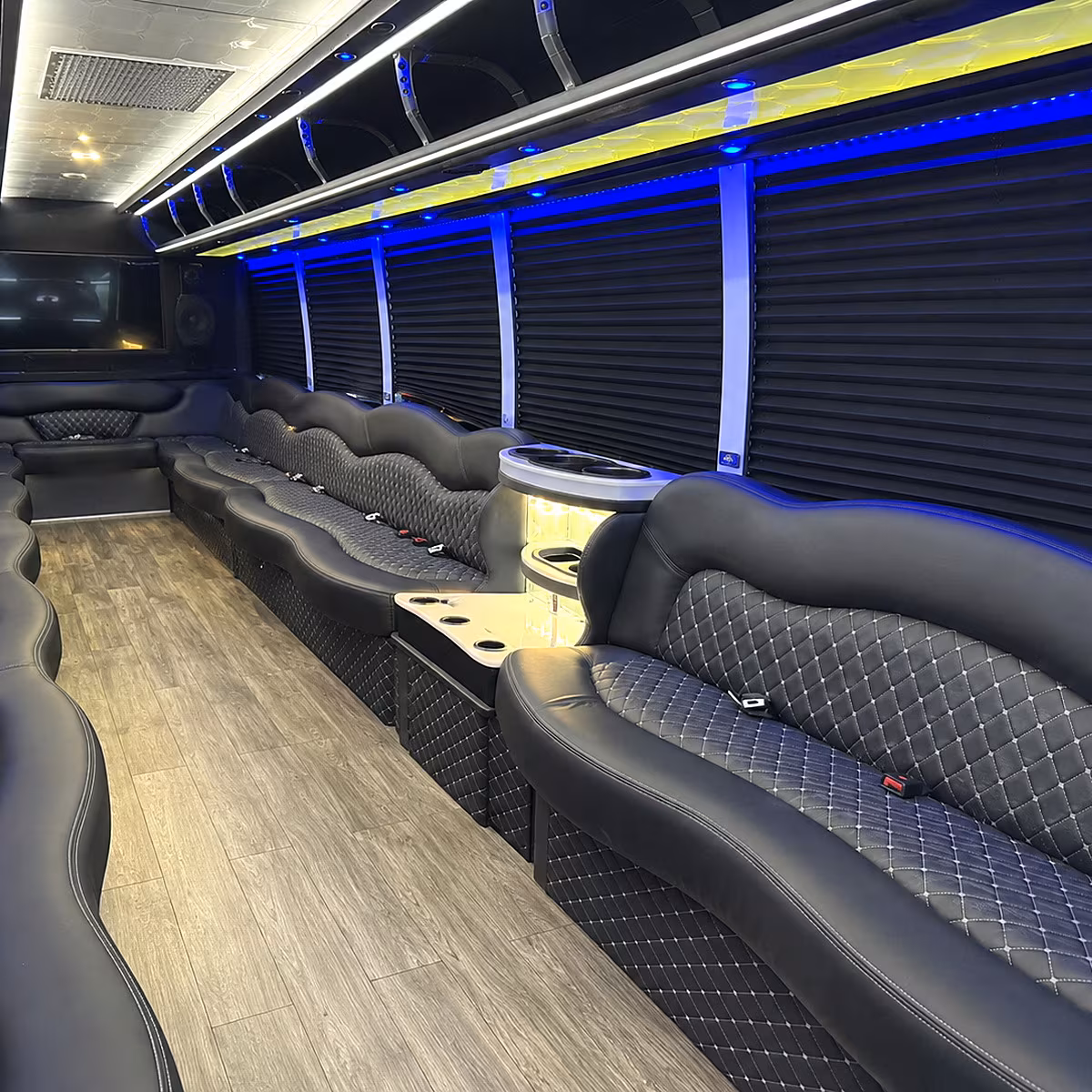 birthday party bus rental